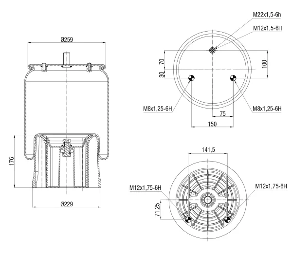 Пневморессора S&K GMBH SK-0010057-01, пластиковый поршень, верх M22 и M8, низ 2×М12
