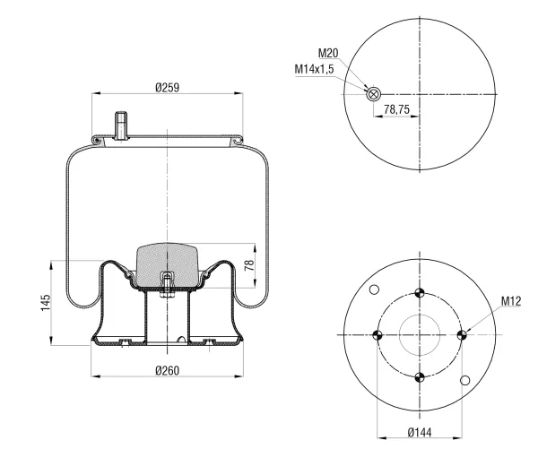 Пневморессора S&K GMBH SK-0081K-01PL Premium Line, металлический поршень, верх 1*M20, низ 4*M12